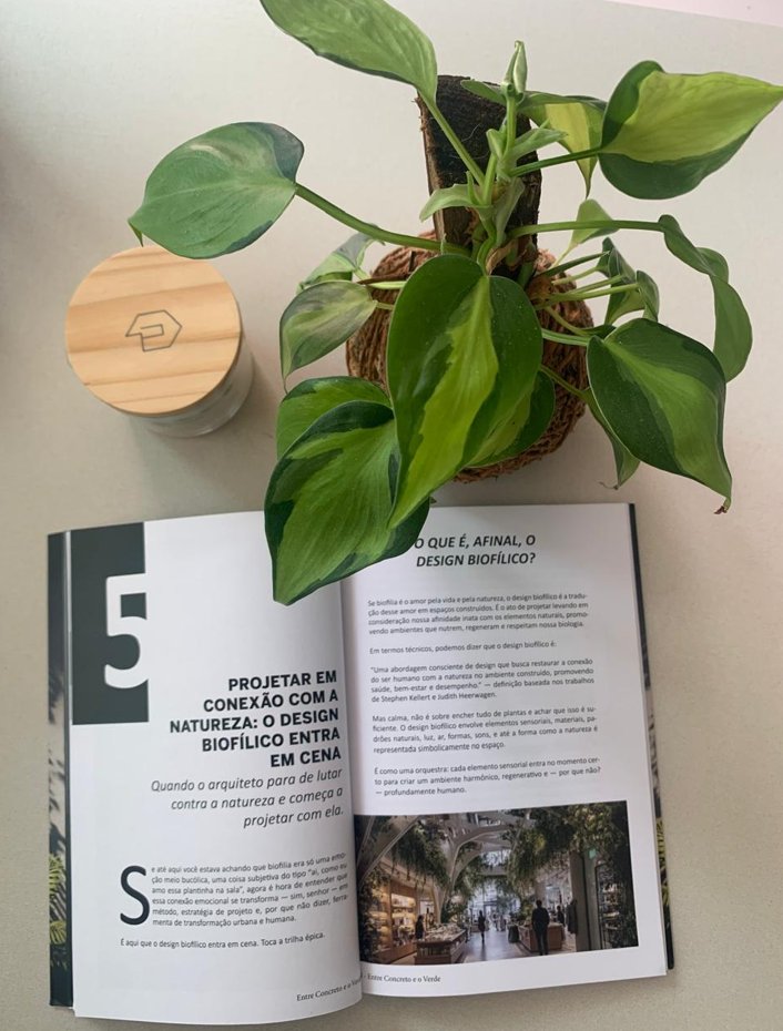 Livro aberto no capítulo 5, com uma planta sobre as páginas, visto de cima.